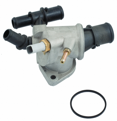 Thermostat, coolant (WG1409302)