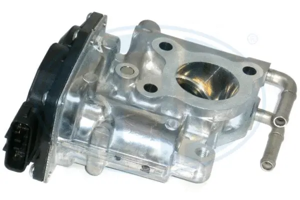 EGR Valve (WG1494651)