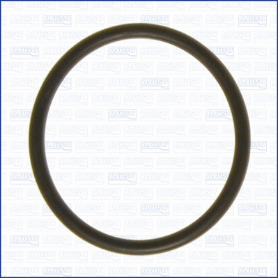 Seal, thermostat (WG1451828)