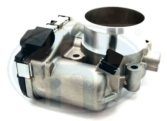 Throttle Body (WG1495082)