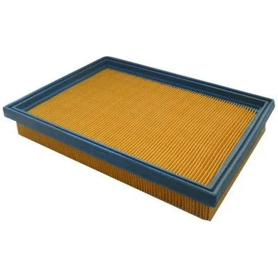 Air Filter (WG1746824)