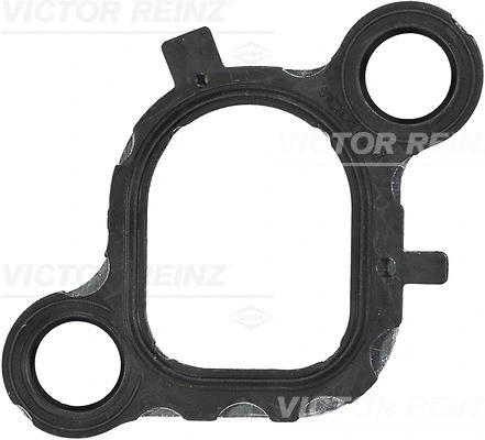 Gasket, intake manifold (WG1247809)