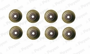 Seal Set, valve stem (WG1177013)
