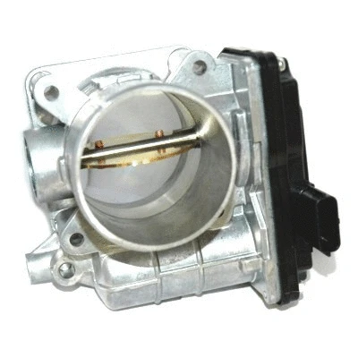 Throttle Body (WG1013597)