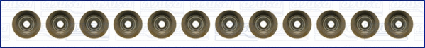 Seal Set, valve stem (WG1009563)