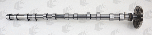 Camshaft (WG2176680)