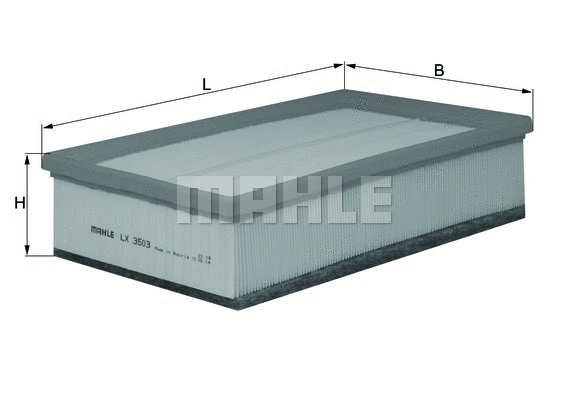 Air Filter (WG1216471)