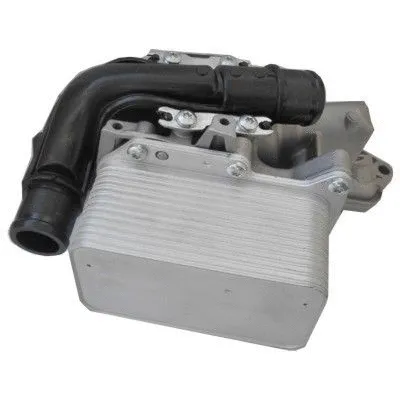 Oil Cooler, engine oil (WG1899802)