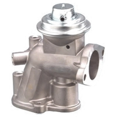 EGR Valve (WG1899143)