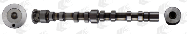 Camshaft (WG2048152)