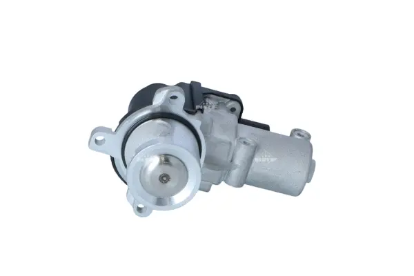 EGR Valve (WG2161824)