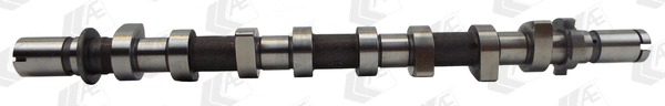 Camshaft (WG1497634)