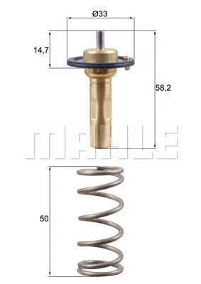 Thermostat, coolant (WG2224807)