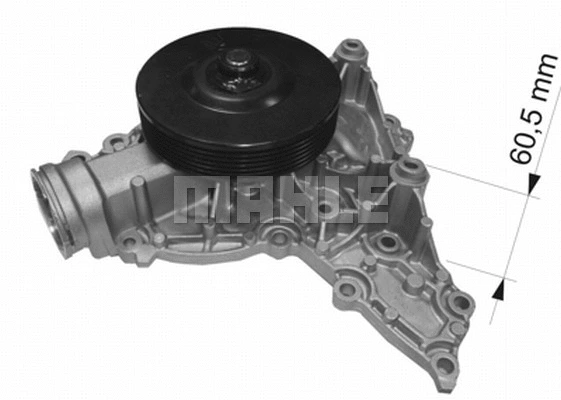 Water Pump, engine cooling (WG2181811)