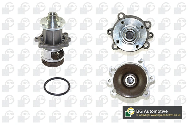 Water Pump, engine cooling (WG1488900)