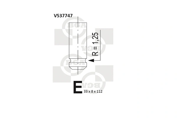 Exhaust Valve (WG1491513)