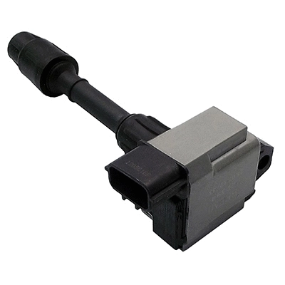 Ignition Coil (WG1012442)