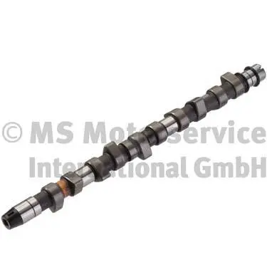 Camshaft (WG1017613)