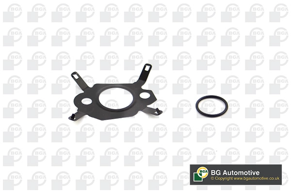 Gasket Set, EGR system (WG1991103)