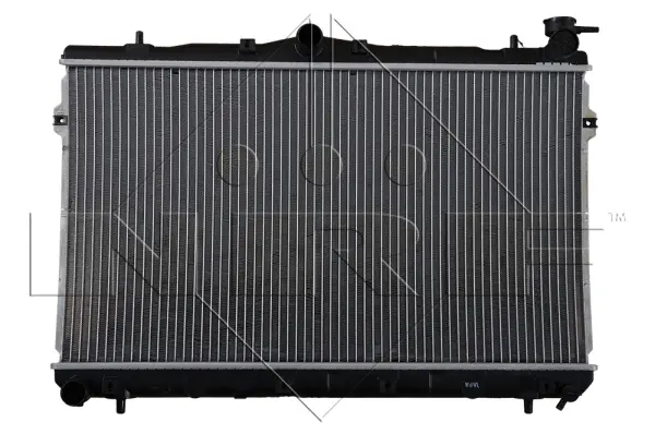 Radiator, engine cooling (WG1722373)