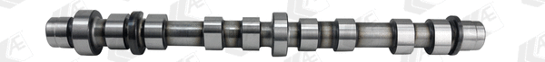Camshaft (WG1462576)