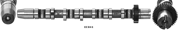 Camshaft (WG1051699)