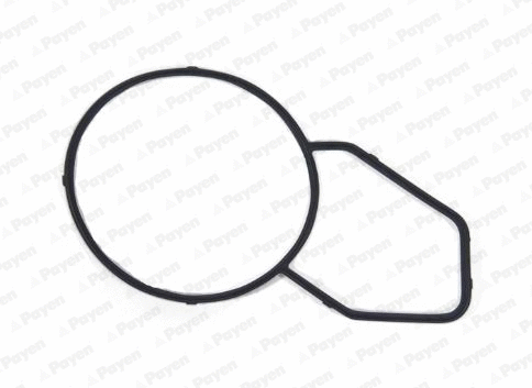 Gasket, thermostat housing (WG2171476)