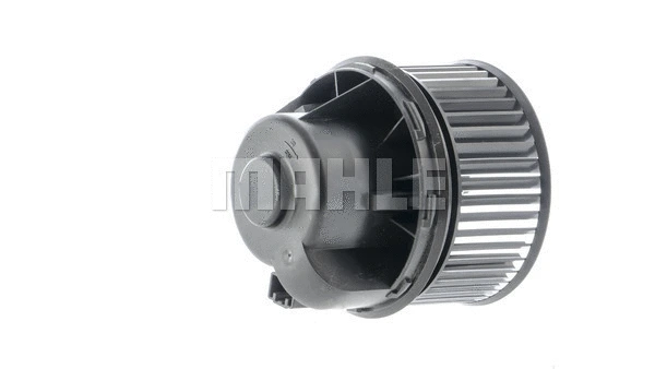 Interior Blower