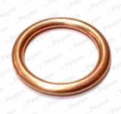 Seal Ring, oil drain plug (WG1090849)