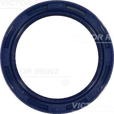 Shaft Seal, camshaft (WG1250596)