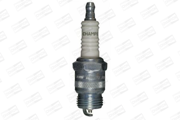 Spark Plug (WG2009415)