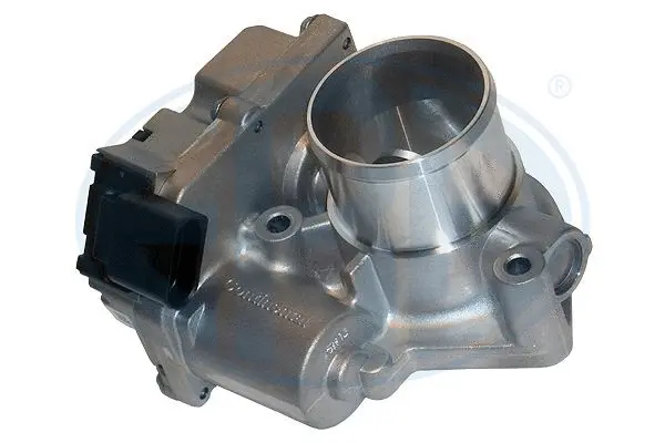 Throttle Body (WG1495055)