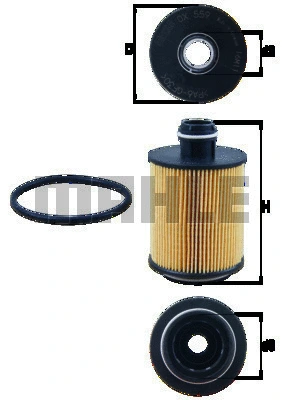 Oil Filter (WG1217446)