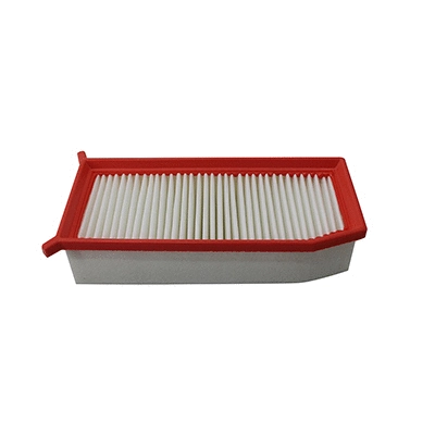 Air Filter (WG2152121)