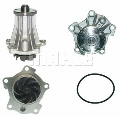Water Pump, engine cooling (WG2181569)