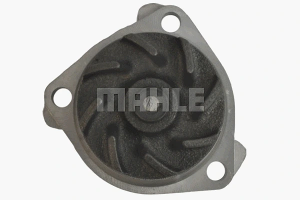 Water Pump, engine cooling (WG2182070)