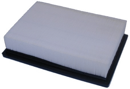 Air Filter (WG1747472)