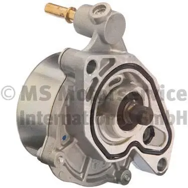 Vacuum Pump, braking system (WG1027034)