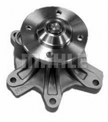 Water Pump, engine cooling (WG2181968)