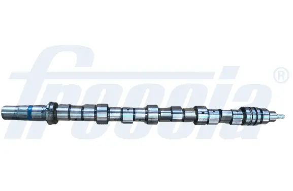 Camshaft (WG1779059)