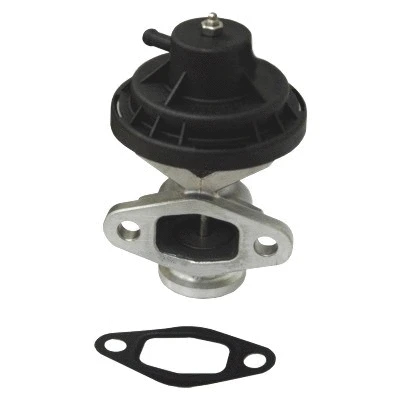 EGR Valve (WG1015312)