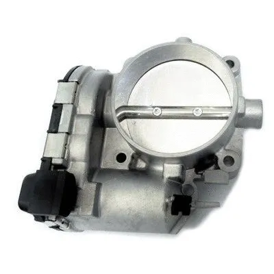 Throttle Body (WG1408829)