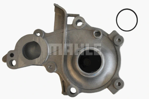 Water Pump, engine cooling (WG2181489)