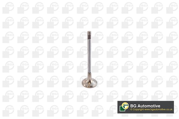 Exhaust Valve (WG1491441)