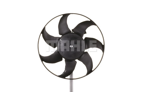 Fan, engine cooling