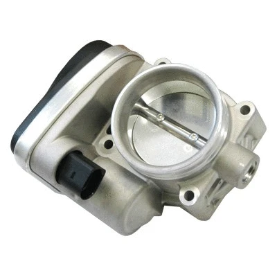 Throttle Body (WG1013584)