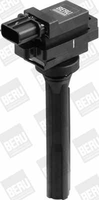 Ignition Coil (WG1487571)