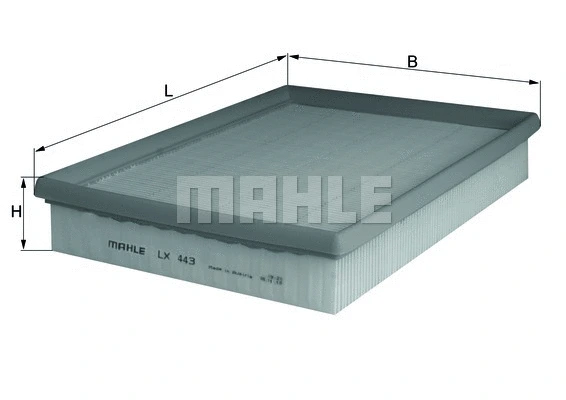 Air Filter (WG1216509)