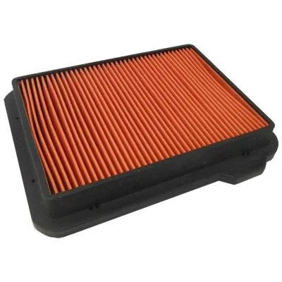 Air Filter (WG1747438)