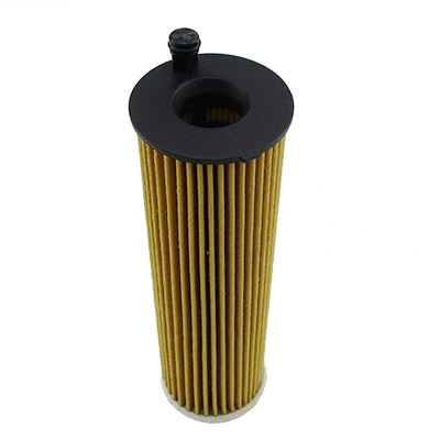 Oil Filter (WG1989903)